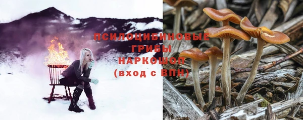 каннабис Няндома